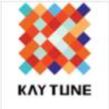 上海凱淳實(shí)業(yè)股份有限公司