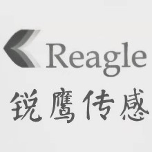 浙江銳鷹傳感技術(shù)有限公司