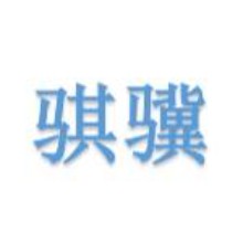 浙江騏驥軟件科技有限公司